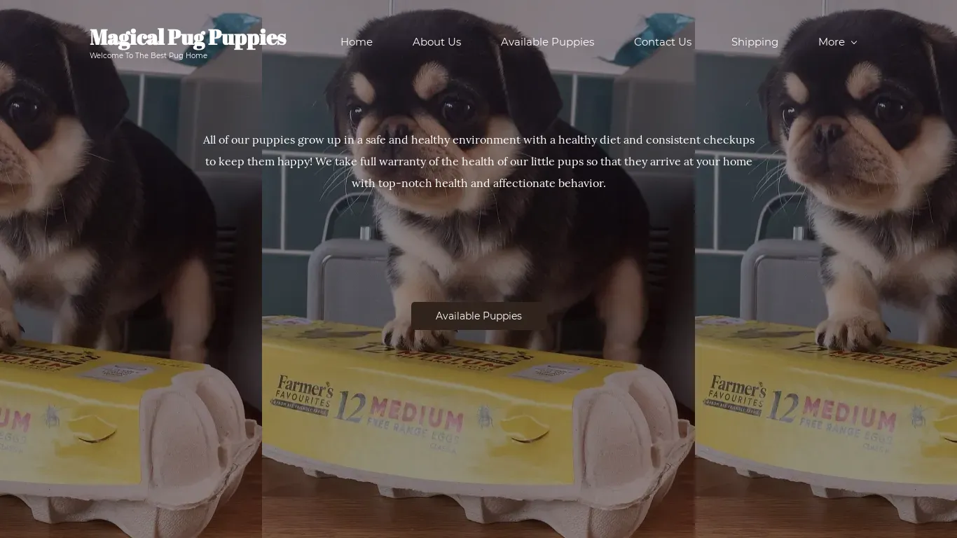 is magicalpugpups.com legit? screenshot