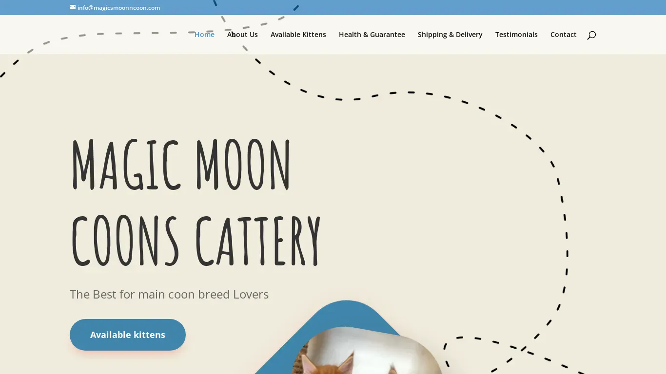 is magicsmoonncoon.com legit? screenshot