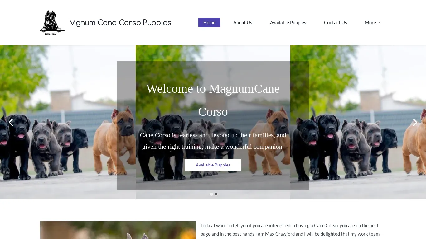 is magnumcanecorsos.com legit? screenshot