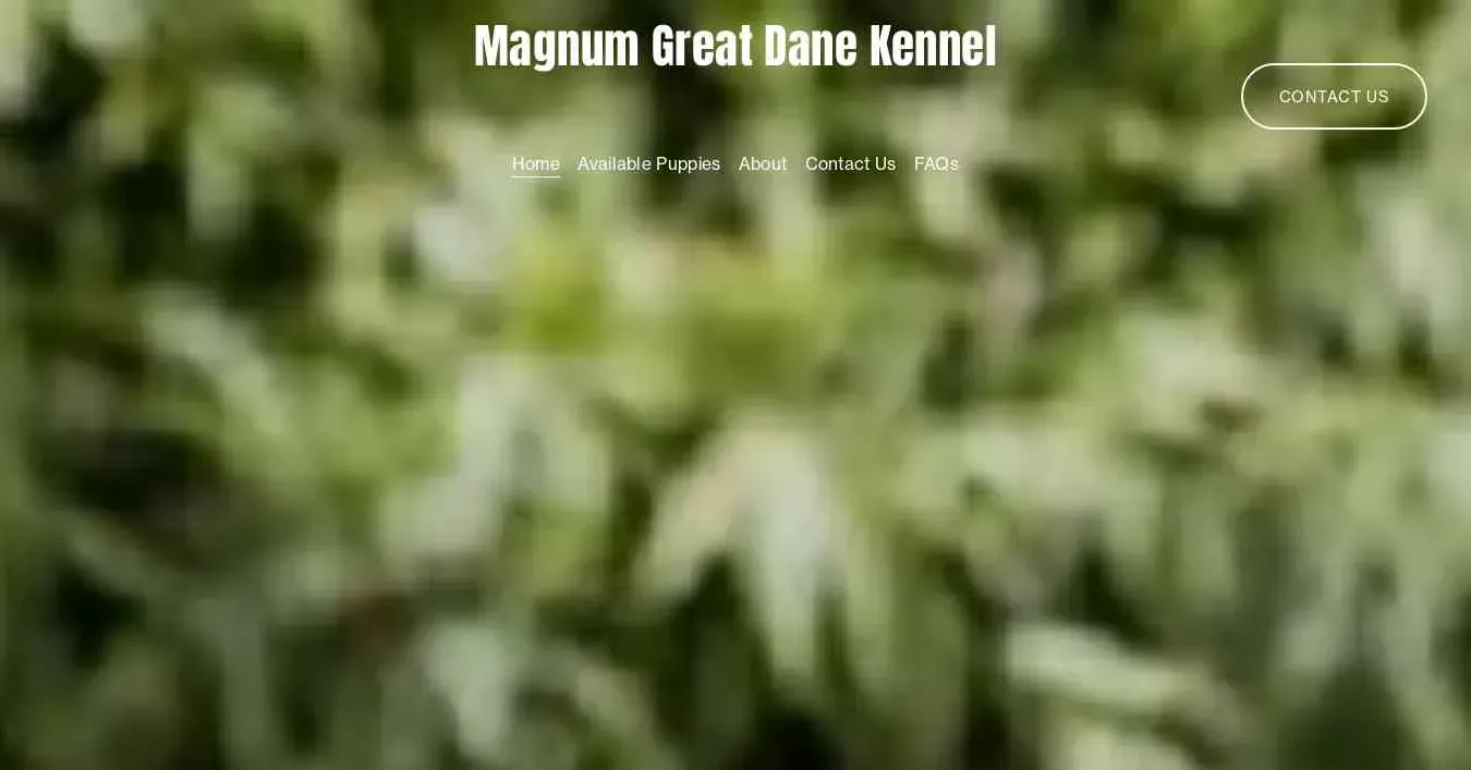 is magnumgreatdane.com legit? screenshot