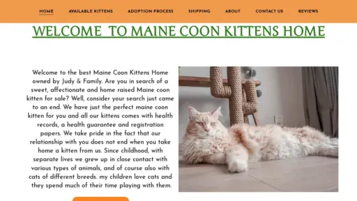 A screenshot of Mainecoonbabies.com