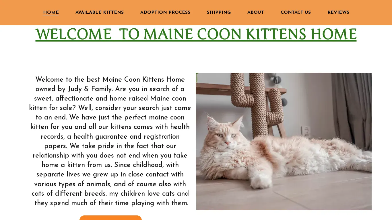 is mainecoonbabies.com legit? screenshot