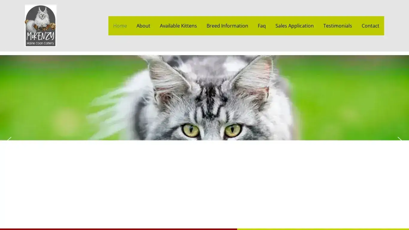 is Maine Coon Cats For Sale | Free 3 Years Health Insurance legit? screenshot