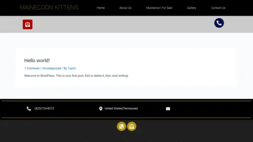 A screenshot of Mainecoonkittenforadoption.com