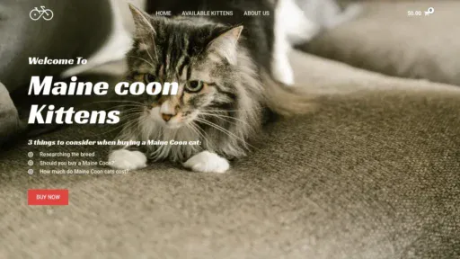 A screenshot of Mainecoonkittensforadoption.com