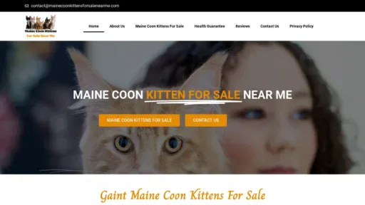 A screenshot of Mainecoonkittensforsalenearme.com