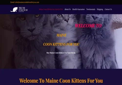 is mainecoonkittensforyou.com legit? screenshot