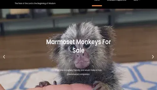 A screenshot of Genlanfamilystbernard.com