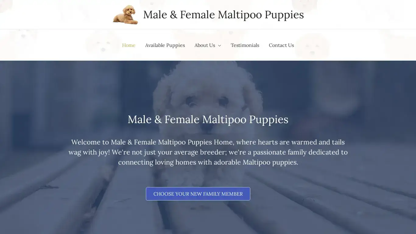 is Male & Female Maltipoo Puppies legit? screenshot