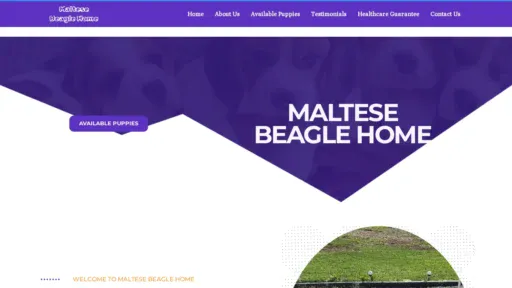 A screenshot of Maltesebeaglehome.com