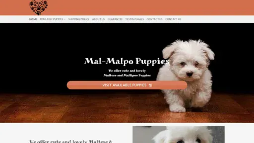 A screenshot of Maltesemaltipoopalace.com