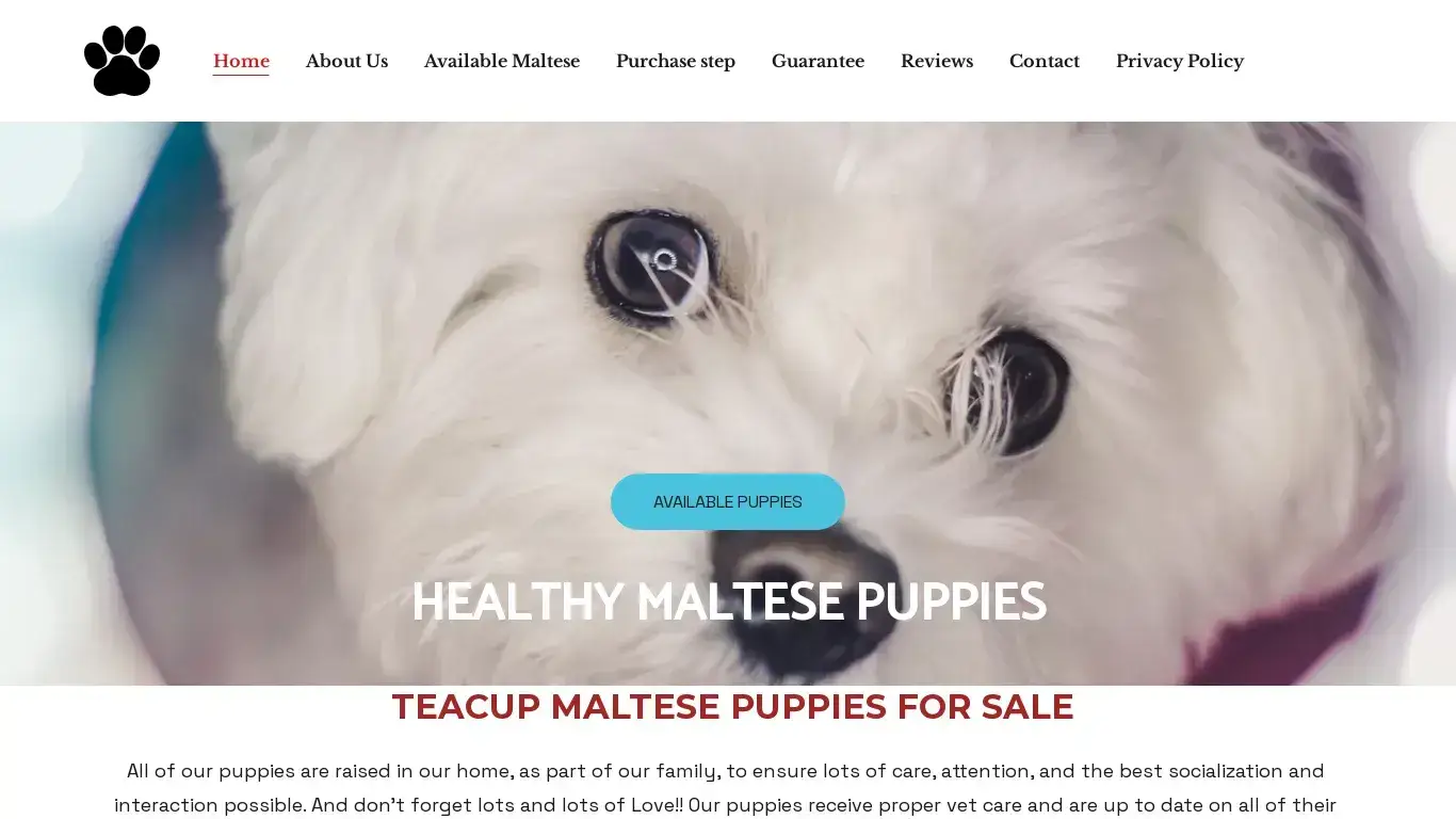 is maltesepaws.com legit? screenshot