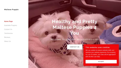 A screenshot of Maltesepuppies4you.com