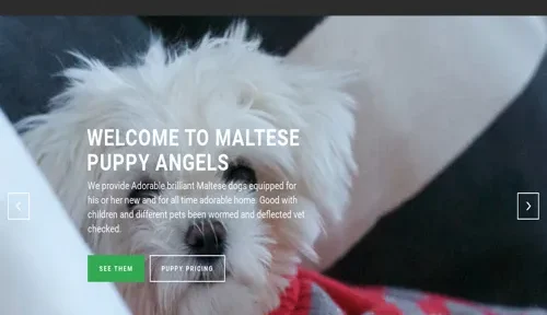 A screenshot of Genlanfamilystbernard.com