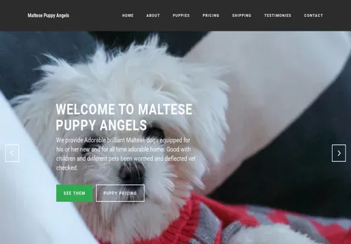 is maltesepupyangels.com legit? screenshot