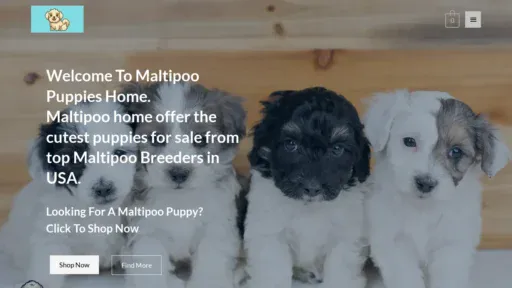 A screenshot of Maltipoforsale.com