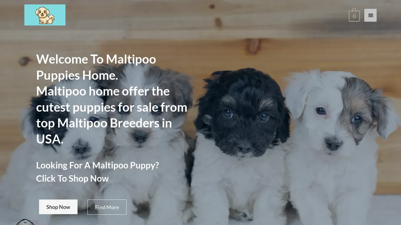 is maltipoforsale.com legit? screenshot