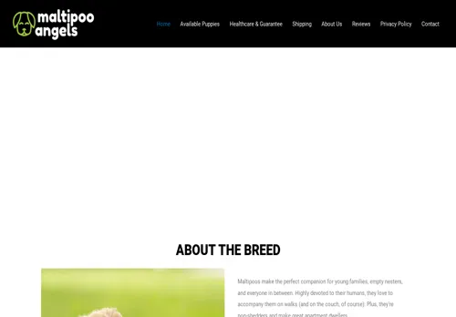 is maltipooangels.com legit? screenshot