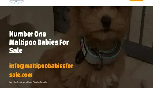 A screenshot of Genlanfamilystbernard.com