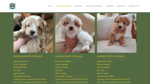 A screenshot of Maltipoopetbreeder.com