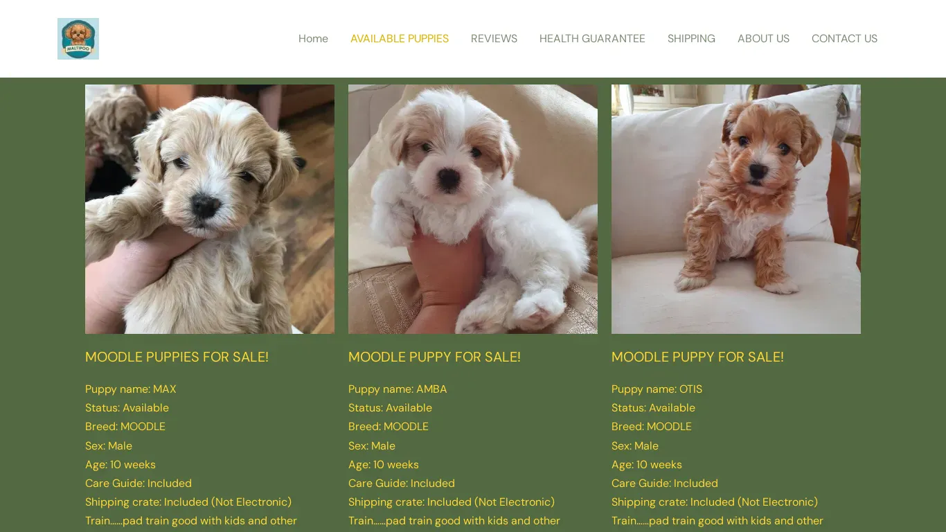is maltipoopetbreeder.com legit? screenshot