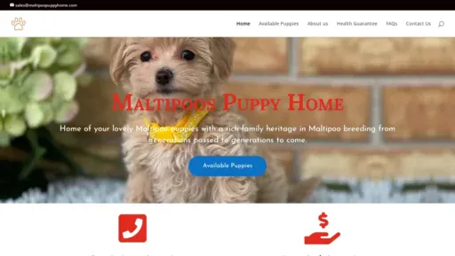 A screenshot of Maltipoopuppyhome.com