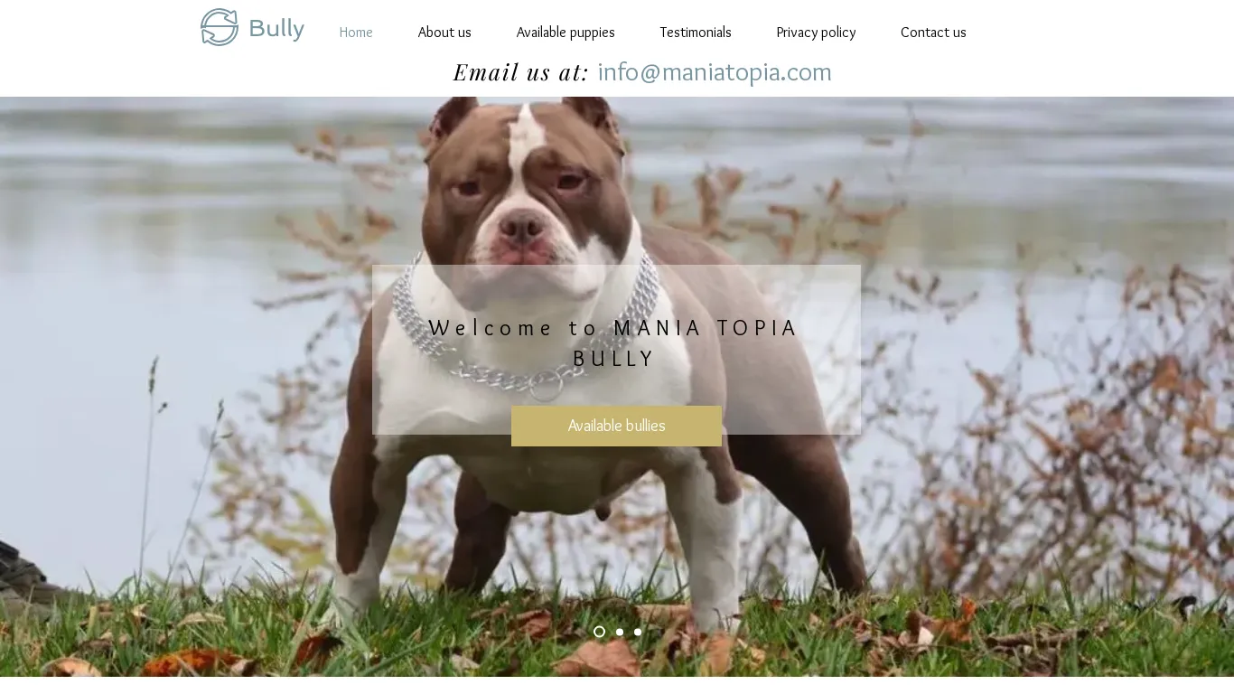 is Mania Topia American Bully Home | xl american bully for sale legit? screenshot
