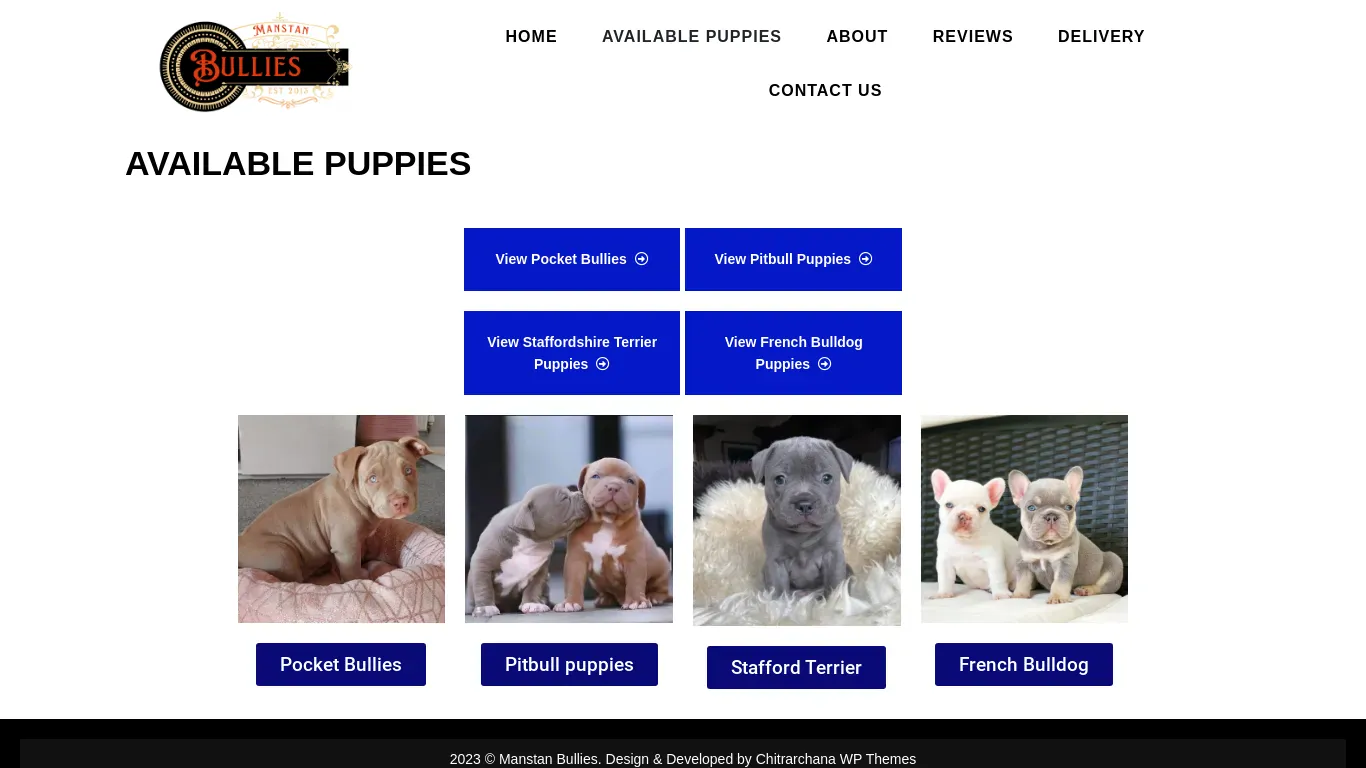 is manstanbullies.com legit? screenshot