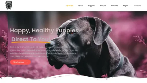 A screenshot of Maplecitycanecorso.com