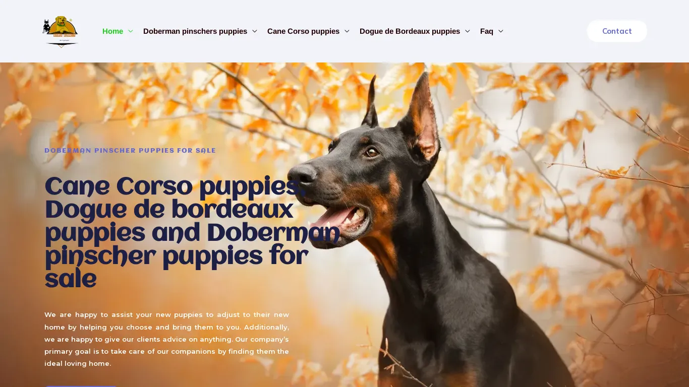 is margikennels.com legit? screenshot