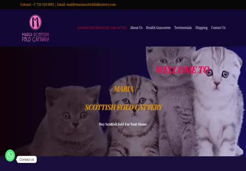 is mariascottishfoldcattery.com legit? screenshot