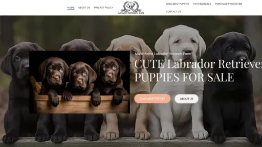 A screenshot of Mariekernslabradorretrieverfarm.com