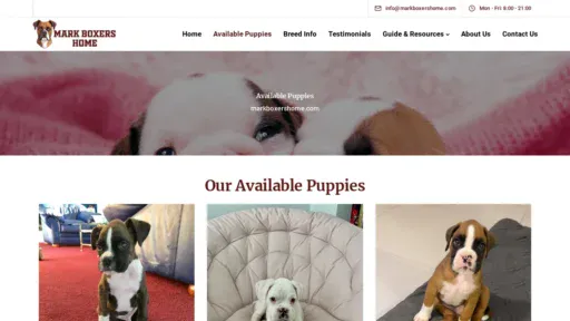 A screenshot of Markboxershome.com