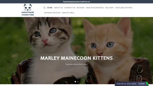 A screenshot of Marleymainecoonkittens.com