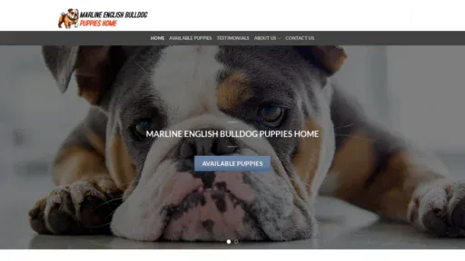 A screenshot of Marlineenglishbulldogpuppieshome.com