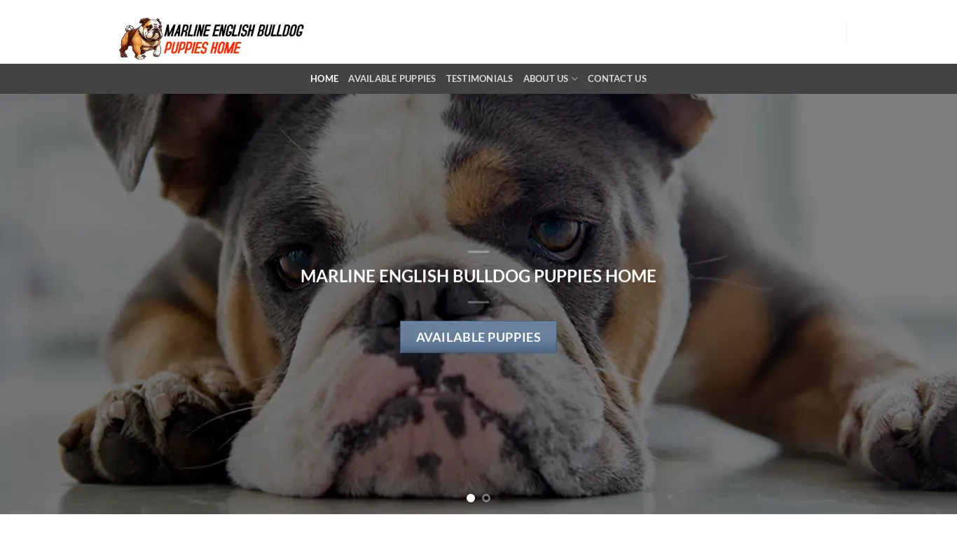 is marlineenglishbulldogpuppieshome.com legit? screenshot