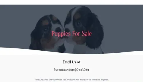 A screenshot of Genlanfamilystbernard.com