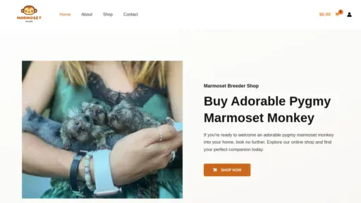 A screenshot of Marmosethaven.com