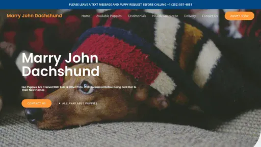 A screenshot of Marryjohndachshund.com