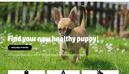 A screenshot of Genlanfamilystbernard.com