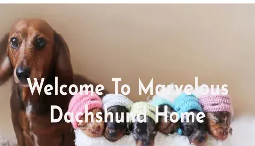 A screenshot of Genlanfamilystbernard.com