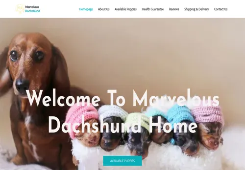 is marvelousdachshund.com legit? screenshot