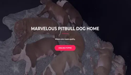 A screenshot of Genlanfamilystbernard.com