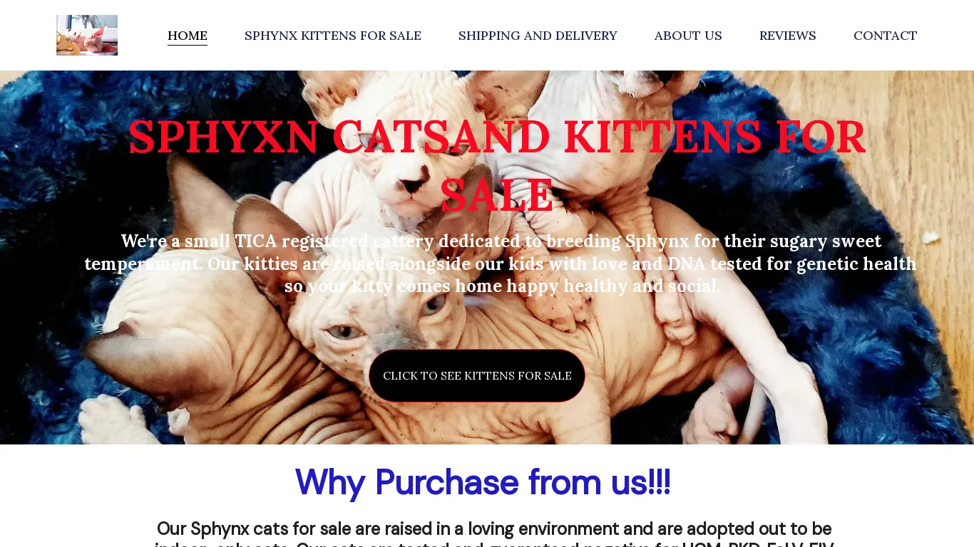 is marveloussphynxforsale.com legit? screenshot