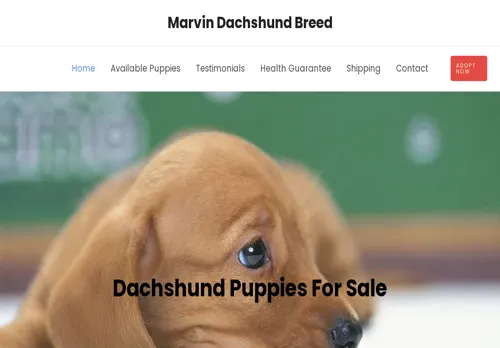 is marvindachshundbreed.com legit? screenshot