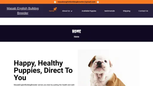A screenshot of Masabenglishbulldogbreeder.com