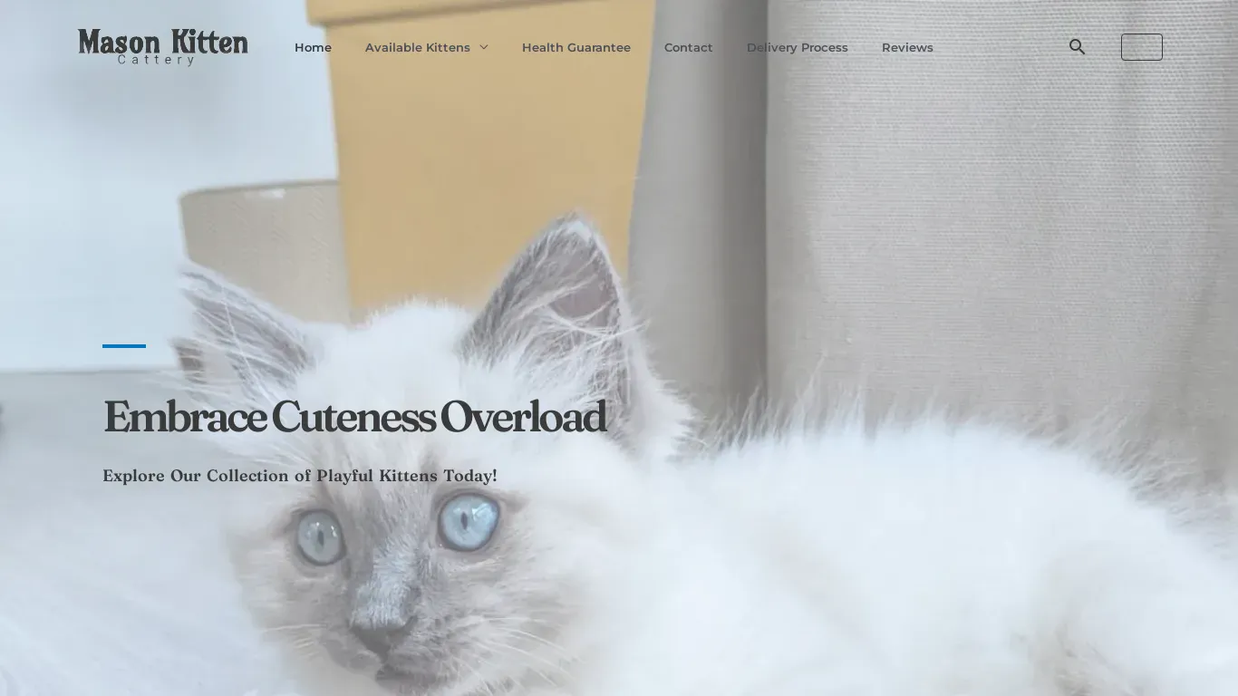 is Mason Kitten Cattery legit? screenshot