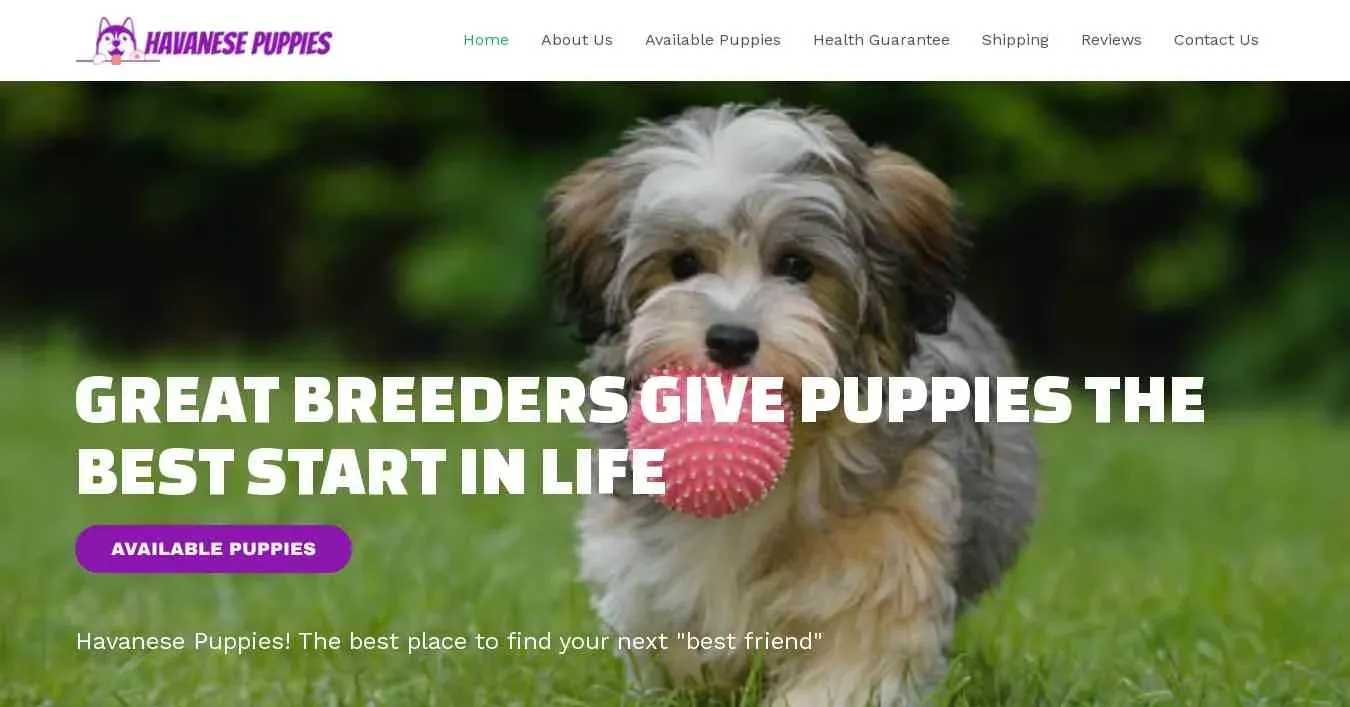 is matapzehavanesepuppies.com legit? screenshot