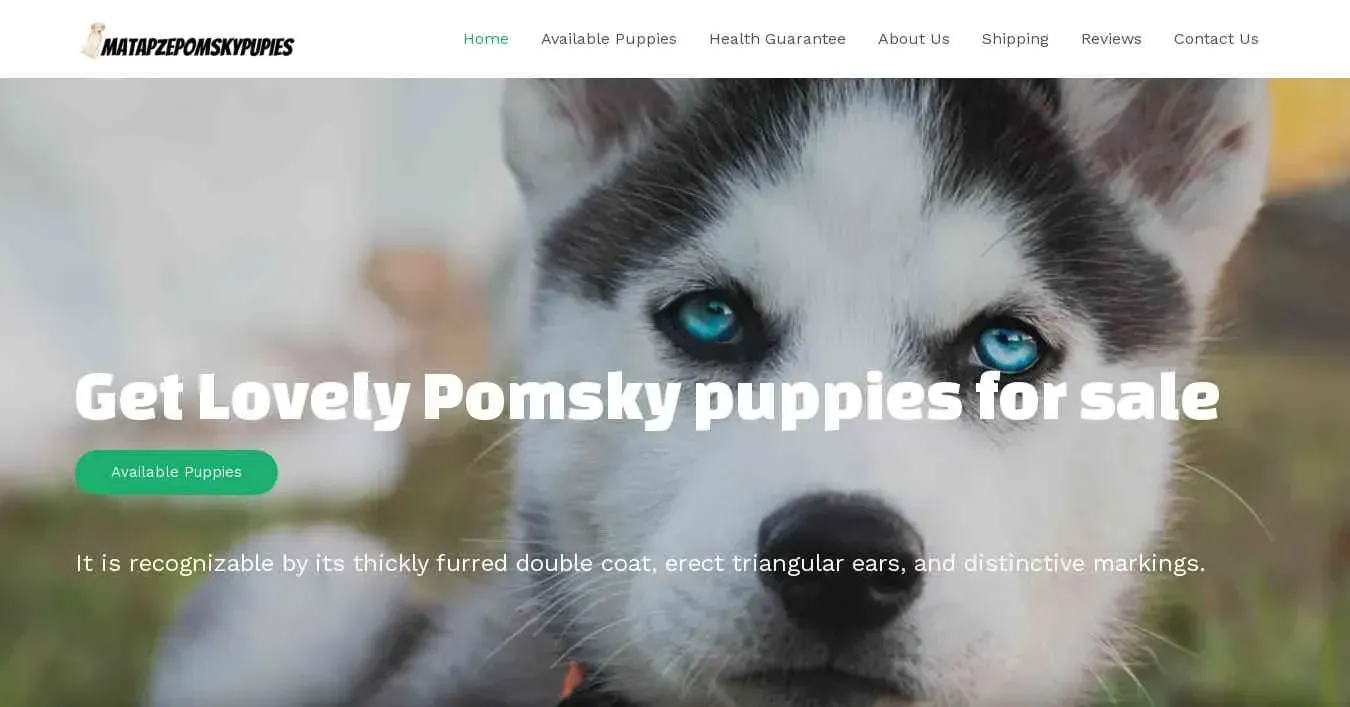 is matapzepomskypuppies.com legit? screenshot