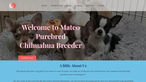 A screenshot of Mateochihome.com